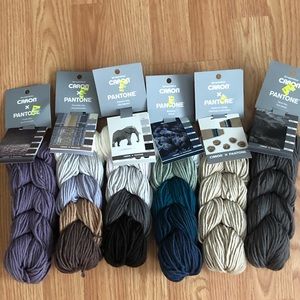 6 Skeins Caron Pantone Bulky Yarns